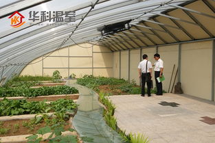 三門峽陽光板溫室大棚 創新設計與專業安裝一體化服務，引領現代農業新篇章